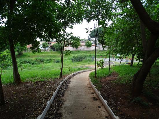 Bosque do Parque Uniao