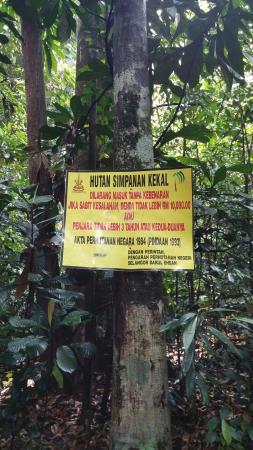 Ayer Hitam Forest Reserve