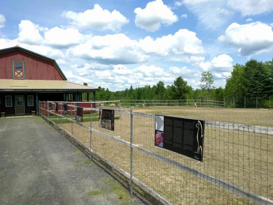 Domaine des Nobles Alpagas