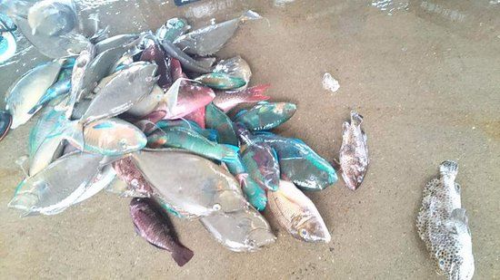 Uminchu Toretore Asaichi