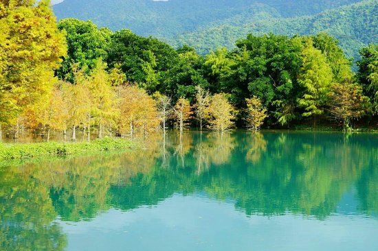 Yun Shan Shuei Ecological Farm