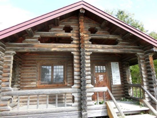 Japanese Beech Forest of Gaertner