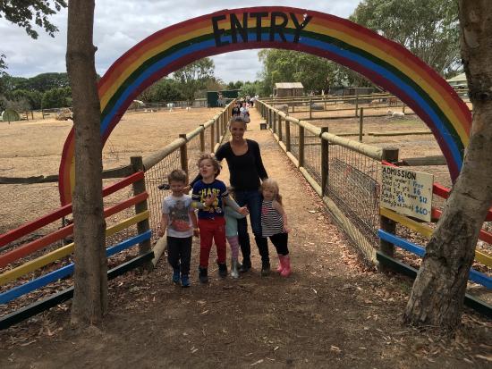 Rain, Hayne and Shine Farmyard