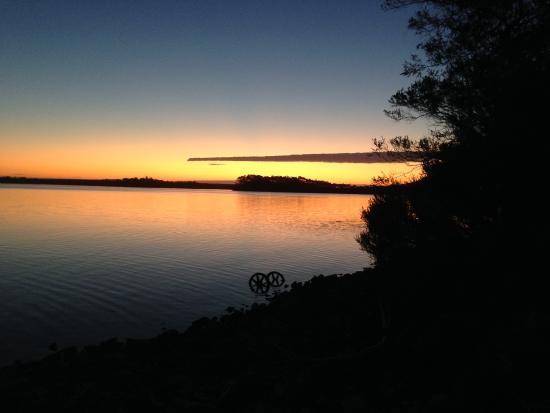 Morrisons Huon Pine Sawmill