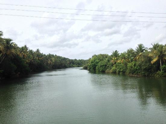 Ashtamudi Lake