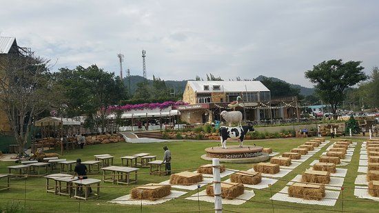 The Scenery Vintage Farm