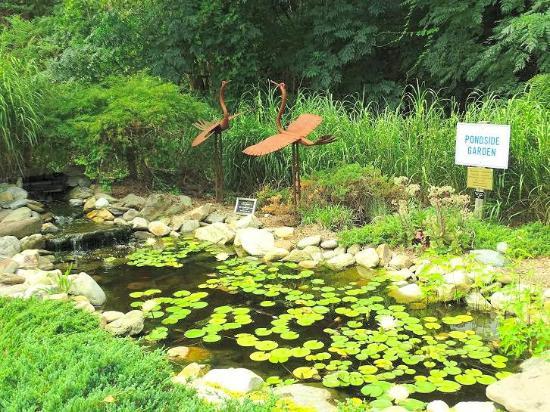 Wilson Botanical Gardens