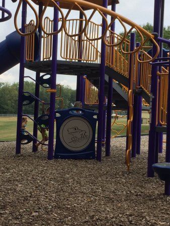 Jackson Bog State Nature Preserve