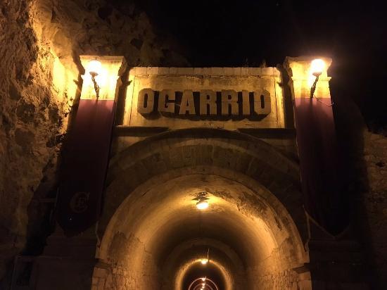Tunel de Ogarrio