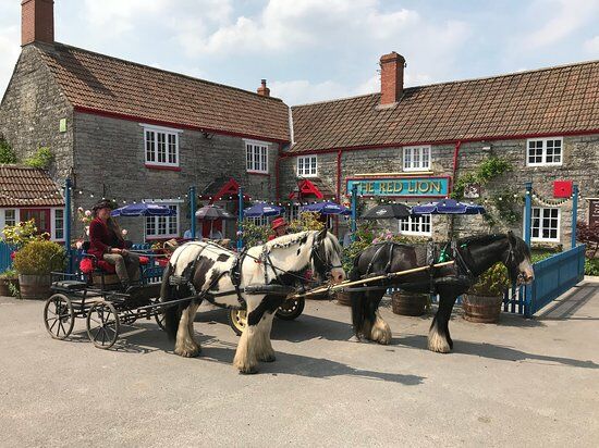 The Red Lion West Pennard